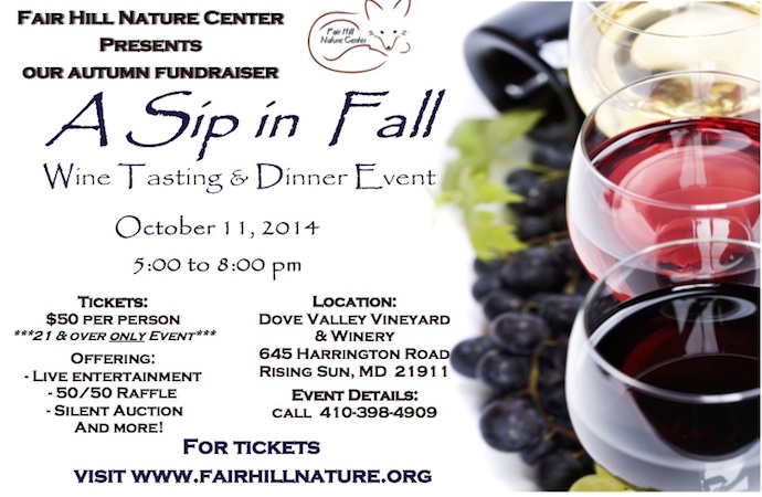 Sip in Fall